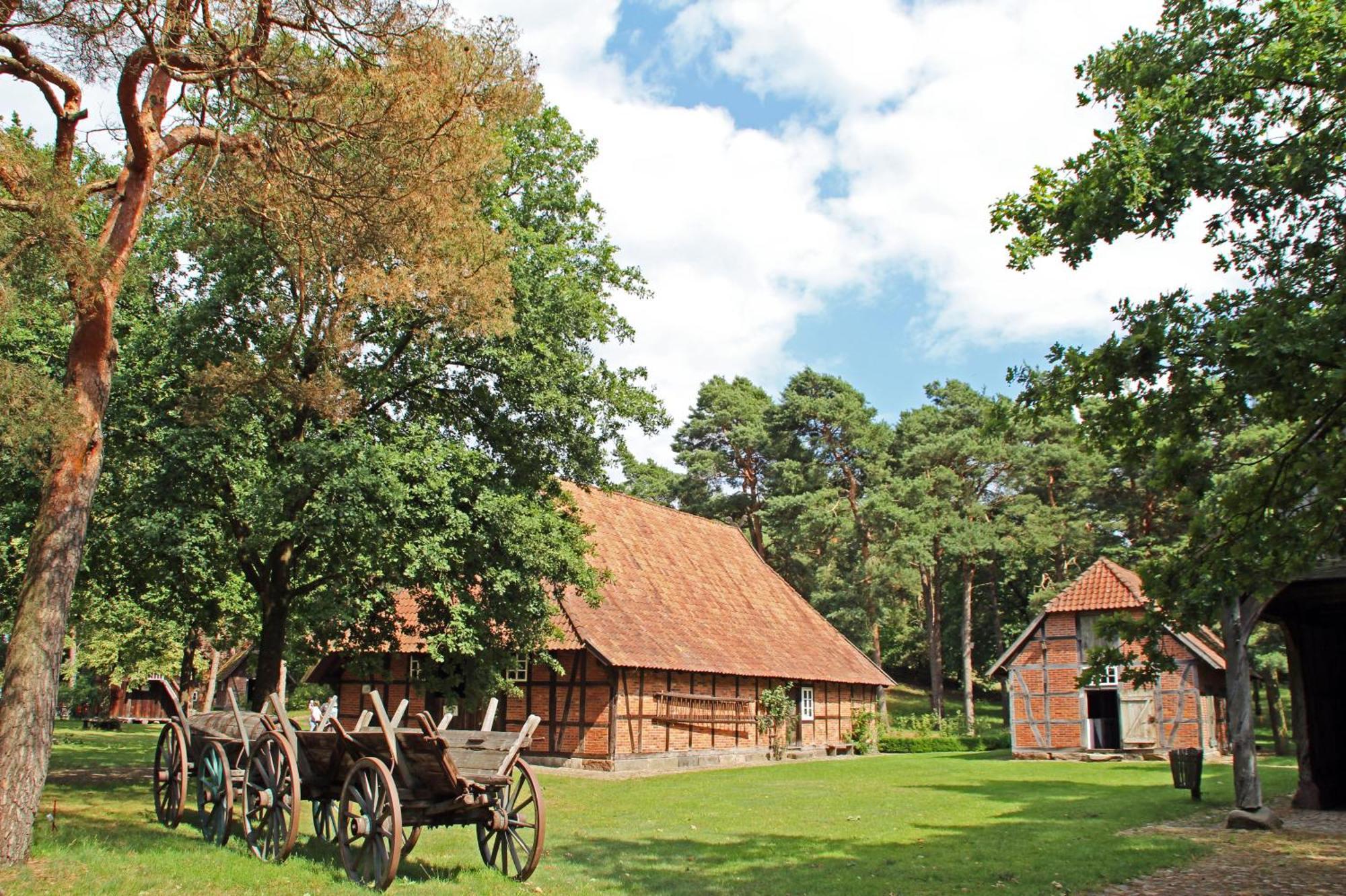 Ferienhaus Heideland Winsen Aller Meißendorf Extérieur photo